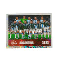 FIFA World Cup Qatar 2022 FIFA Museum Panini 2026
