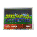 FIFA World Cup Korea/Japan 2002 FIFA Museum Panini 2026