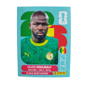 SEN 8 Kalidou Koulibaly