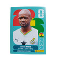 GHA 16 Jordan Ayew