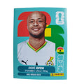 GHA 17 Andre Ayew