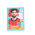 AUT 14 Florian Grillitsch