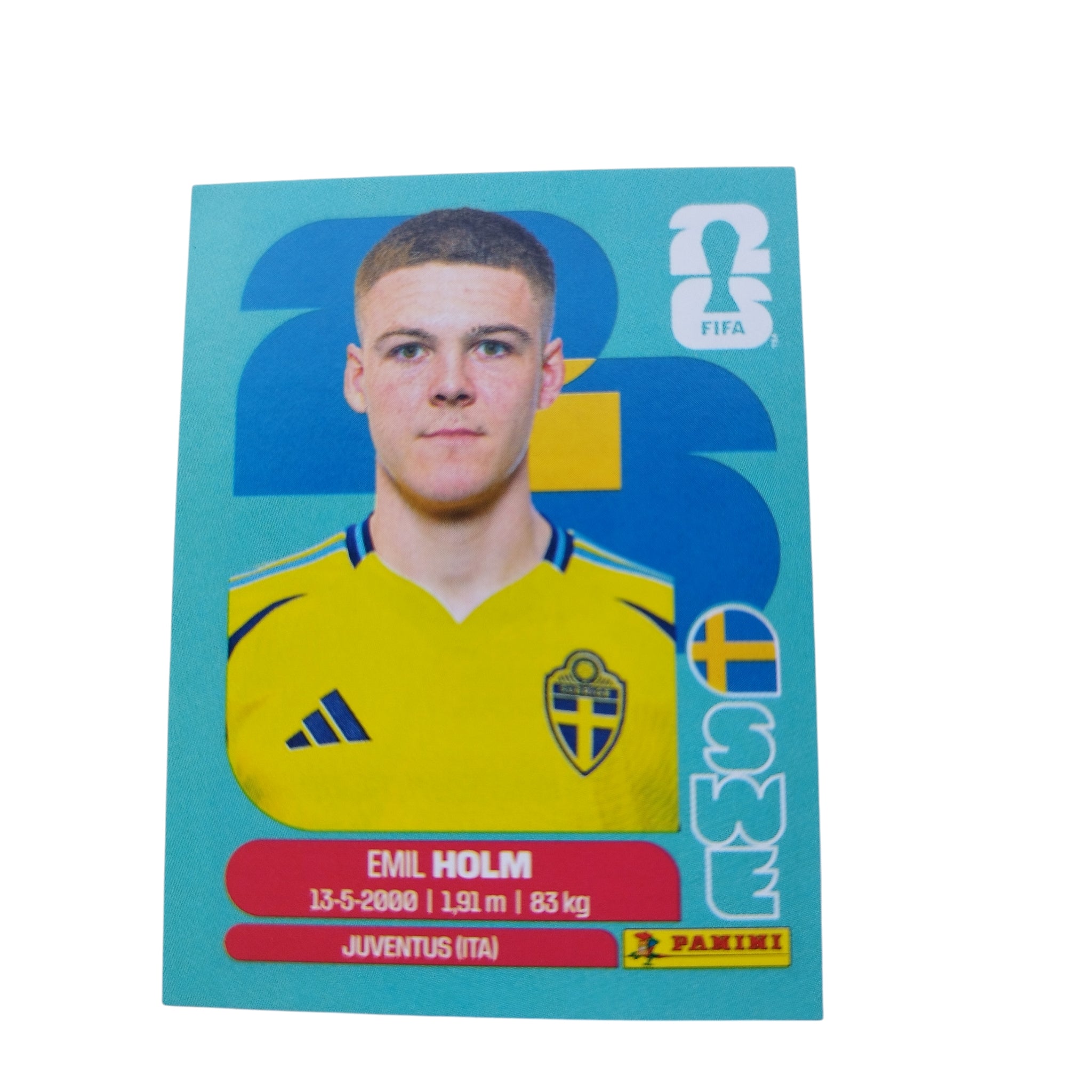 SWE 5 Emil Holm
