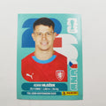 CZE 19 Adam Hložek