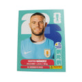 URU 9 Nahitan Nández