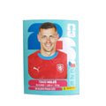 CZE 7 Tomáš Holeš
