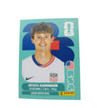 USA 17 Brenden Aaronson