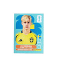 SWE 8 Lucas Bergvall