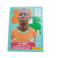 CIV 7 Willy Boly