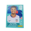 USA 15 Malik Tillman