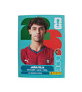 POR 17 João Félix